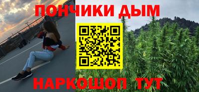дживик Можга