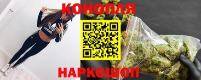 дживик Можга