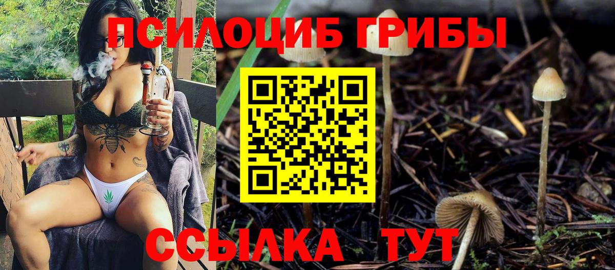 Воркута  Галлюциногенные грибы Psilocybine cubensis  Вход с VPN 